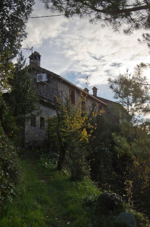 Laspuña El Cajigar Ordesa Ainsa Casa Rural מראה חיצוני תמונה